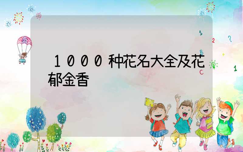 1000种花名大全及花语郁金香
